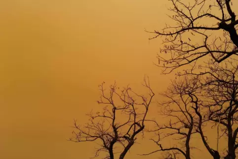 Saharastaub wie hier im Elsaß, hat auch den Himmel in Teilen Süddeutschlands eingetrübt. 