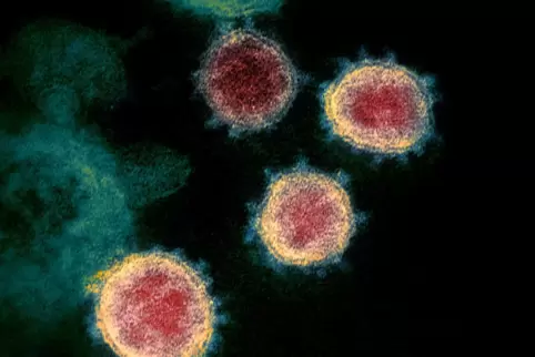 Im Kreis Bad Dürkheim wurde ein weiterer Fall mit dem mutierten Virus bekannt. 