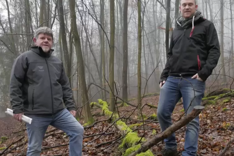 Das Holz soll solange im Wald liegen beleiben, bis es verrottet ist. 