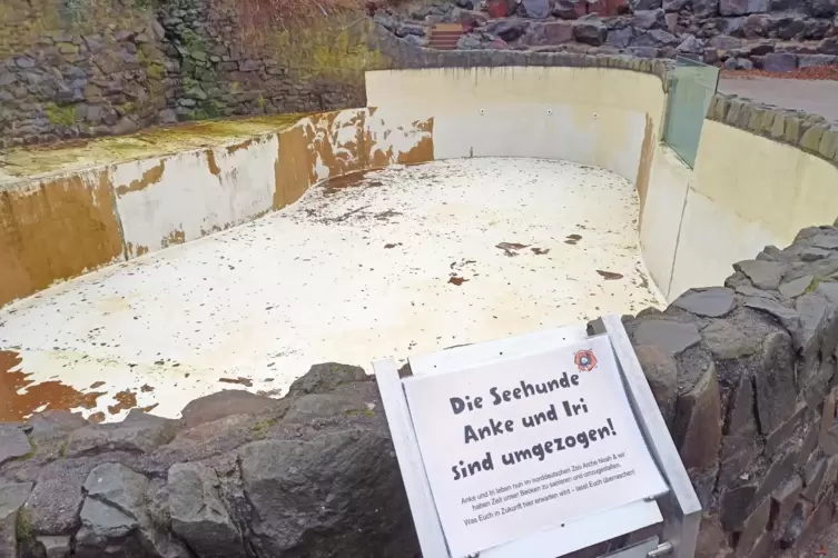 Das Seehundbecken ist zurzeit verwaist.