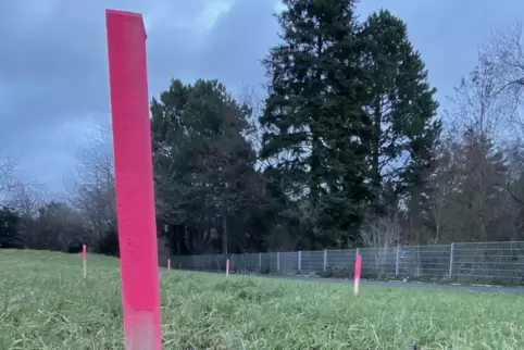 Der Bereich des Landauer Gräberfelds ist abgesteckt. 