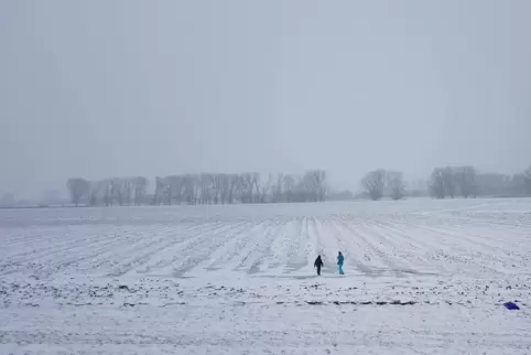 img-20210210-wa0002