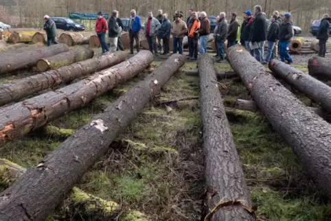 Ein Foto der Holzauktion in der Nähe von Heinzenhausen aus dem Jahr 2017.