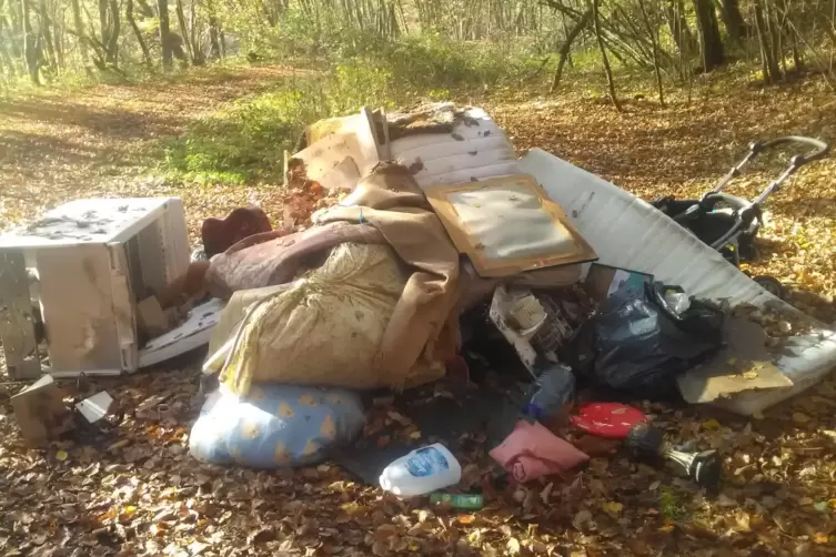Einige Beispiele für illegale Müllentsorgung: Sperrmüll in Kusel-Bledesbach, ...