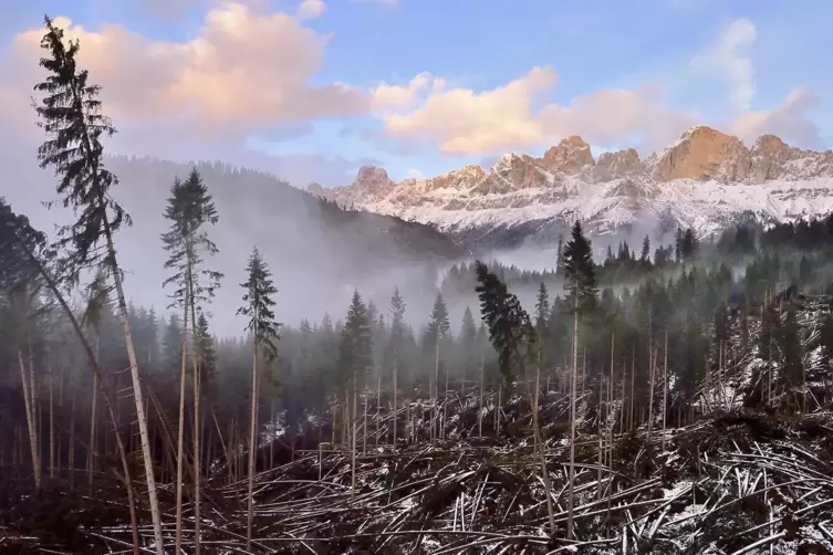Nicht nur Idylle: In derKategorie &bdquo;Pflanzen und Planet&ldquo; gewann der Italiener Albert Ceolan 2019 mit diesem Motiv. 