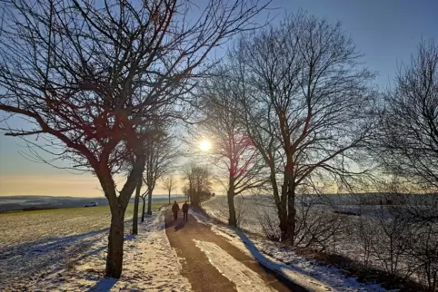 winterweissetrisch4