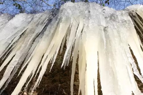 Fast bedrohlich hängen diese gewaltigen Zapfen bei Falkenstein an den Felswänden. 