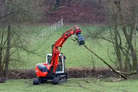 Mitarbeiter des Umweltbetriebs entfernen Holz aus der Bickenalb vor Mittelbach. 