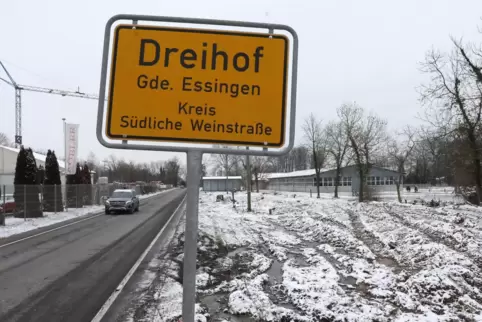 Diese Fläche entlang der Hornbachstraße wurde gerodet.