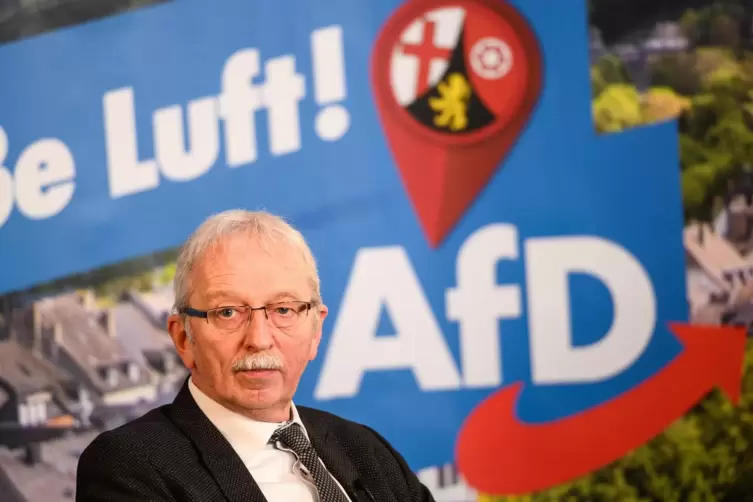 Michael Frisch, Spitzenkandidat der AfD für die Landtagswahl. 