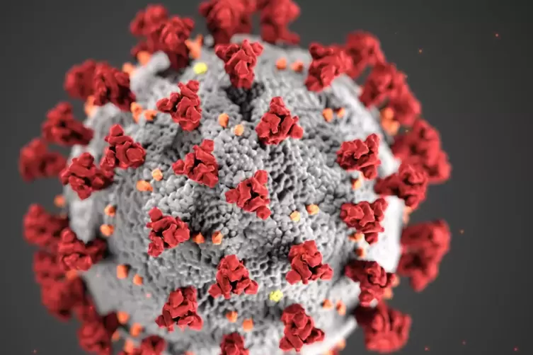 Ein Modell des Coronavirus’.