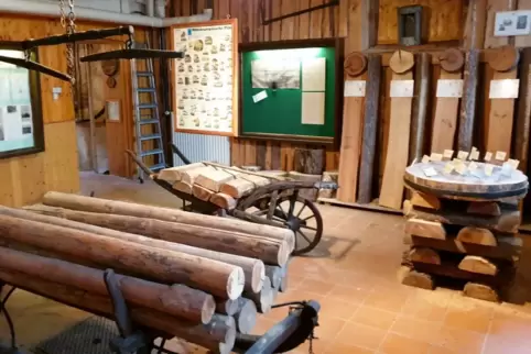 In drei Räumen informiert das Museum über den Wald, seinen Nutzen für die Menschen, die Holzarten und die Tiere, die dort leben.