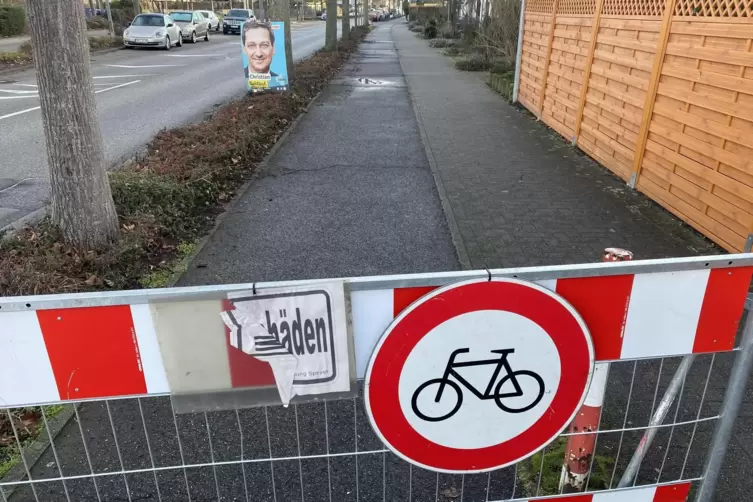Gesperrt: Wurzel-durchzogener Radweg in der Fritz-Ober-Stra&szlig;e.
