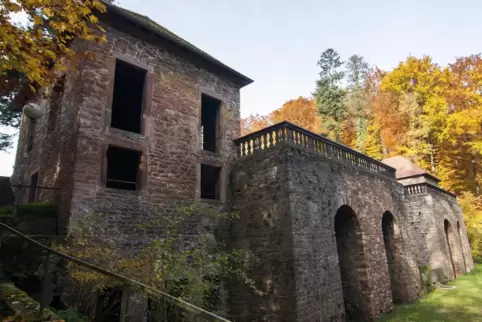 Bei der Geschichte von Tschifflik und Polenkönig Stanislaus spitzt Hund Romi beim Spaziergang in der Fasanerie die Ohren.