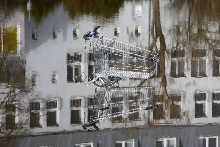 Ein Einkaufswagen spiegelt sich ebenso wie die Fassade des parkhotels im Wasser. 