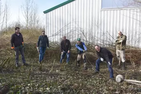 Beim Entfernen von Wurzelstöcken braucht es Kraft. Die haben die fleißigen Helfer des Artenvielfaltsprojekts in Rödersheim-Grona