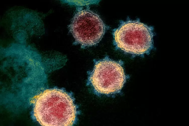 Coronavirus: Eine Infektion kann per Test nachgewiesen werden. 