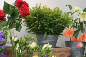 Discounter verkauften Blumenn, während Blumengeschäfte schließen mussten. 