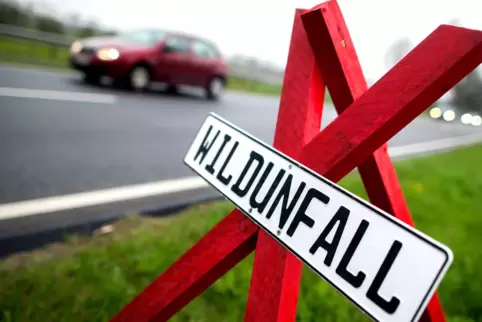 Die Straße war wegen der Säuberung kurz gesperrt.