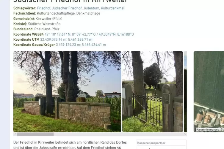 Schon drin im System: der jüdische Friedhof in Kirrweiler. 