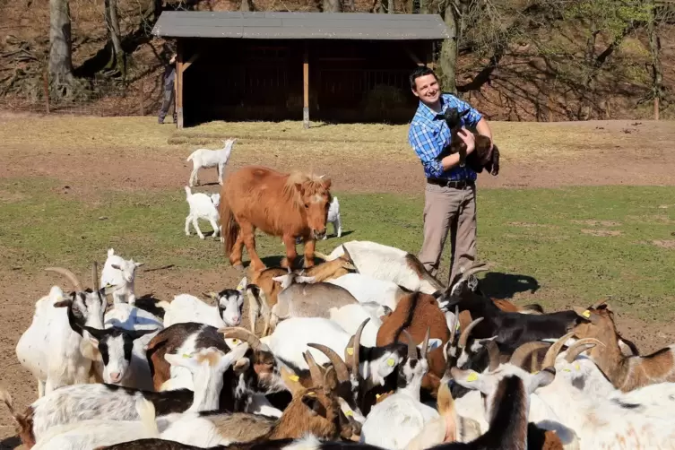 Daniel Kraus ist sicher, dass auch die Ziegen froh &uuml;ber die baldige &Ouml;ffnung des Wild- und Wanderparks in Silz sind.