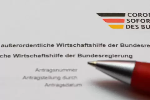  Der TSV Billigheim-Ingenheim war unter den ersten Vereinen, die Staatshilfe beantragt haben. 