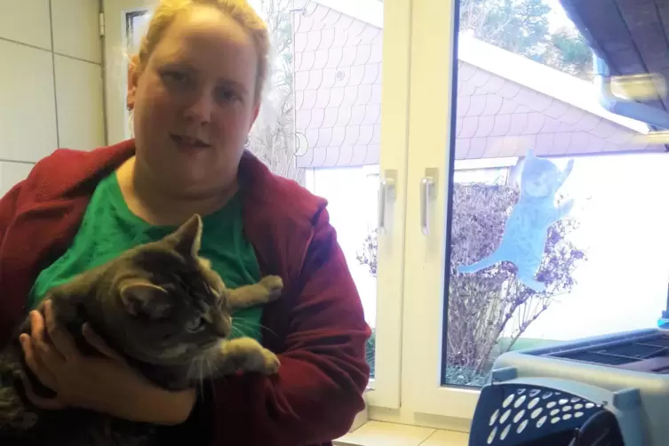 Debora Odaischi hilft im Kaiserslauterer Tierheim bei der Katzenvermittlung. 