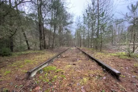 Der Bahnhof Biebermühle war früher viel größer als heute. Die Gleise im Westen wurden abgebaut und sind überwachsen. 