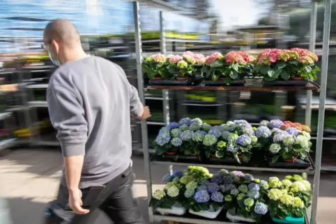 Dürfen ab Montag auch in Rheinland-Pfalz öffnen: Gartencenter.