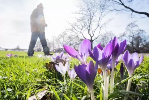 Das Wochenende in Rheinland-Pfalz wird trocken und sonnig. 