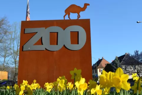 Auch der Landauer Zoo öffnet ab 1. März wieder. 