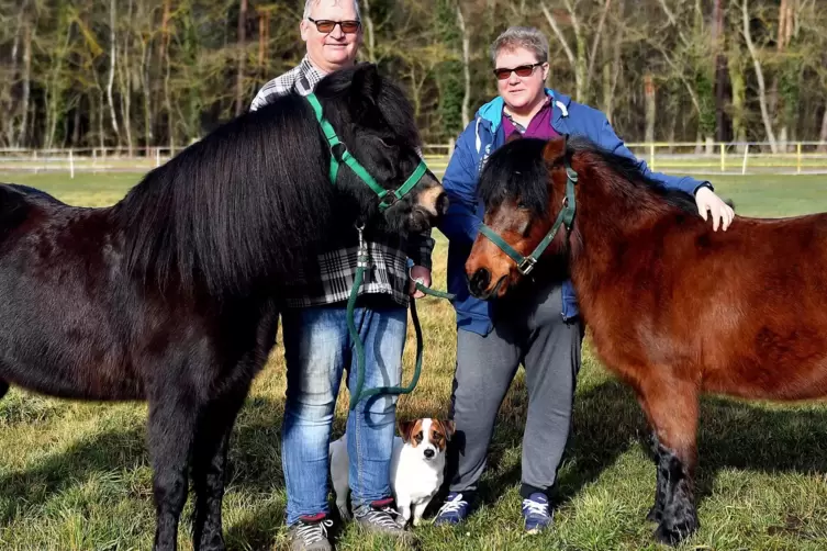 Machen sich Sorgen um die Zukunft der Ponyfarm: Frank und Marie Tettenborn, hier mit den Ponys Franzine und Dürdane.