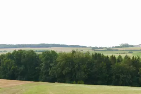 Bei Höhmühlbach entsteht ein so genanntes Waldrefugium entlang des Aschbachs. Dieser Wald darf nun nicht mehr gefällt werden und