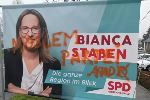 Diese Schmierereien an Wahlplakaten fast aller etablierten Parteien wurden dokumentiert, kaum war die Wahlwerbung vor etwa zwei 