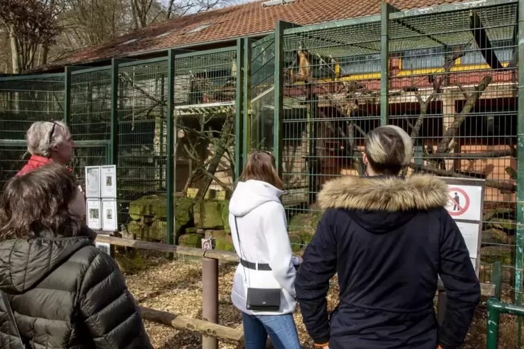 Der Zoo hat seit Montag wieder geöffnet, die Besucher freuen sich darüber. Beispielsweise Familie Niederauer bei den Gehaubten K