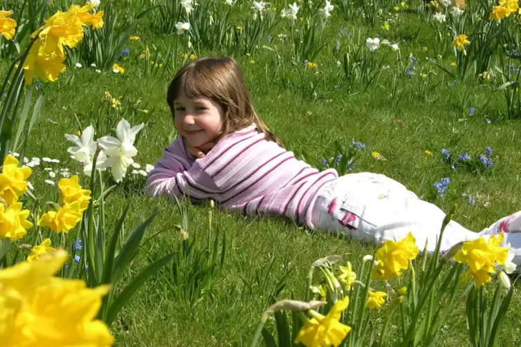 Kinder lieben es, auf einer Blumenwiese zu spielen. Das kann gefährlich werden. 