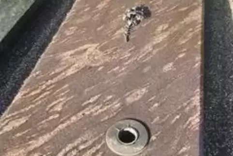 Blumenverteiler sind Einsätze für Vasen, damit die Blumen in verschiedene Richtungen abstehen. 