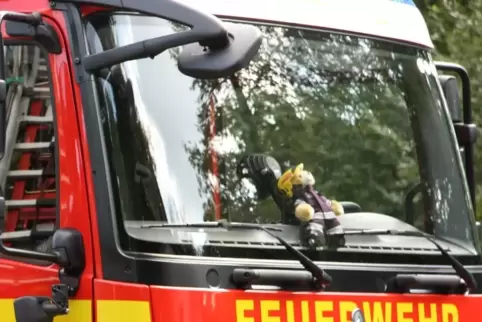 Einsatz für die Feuerwehr in der Waldstraße in Mutterstadt. 