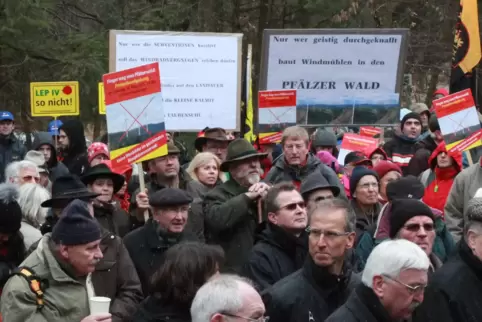 Im März 2013 hatten Hunderte von Bürgern auf dem Taubensuhl gegen Windräder im Pfälzerwald demonstriert. 