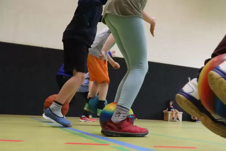 Die Welpenschule ist an das Konzept der Heidelberger Ballschule angelehnt. Dabei sollen die Kinder nicht direkt handballspezifis