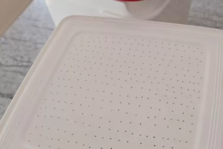 Der Boden des oberen Eimers wird mit L&ouml;chern versehen.