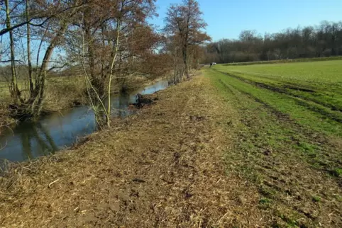 Gerodetes Otterbach-Ufer. 