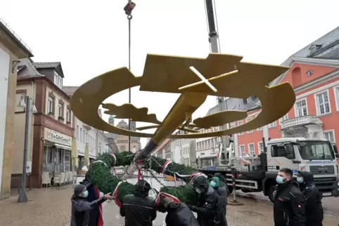Los geht’s: Der neue Zunftbaum wird in die Höhe gezogen. 