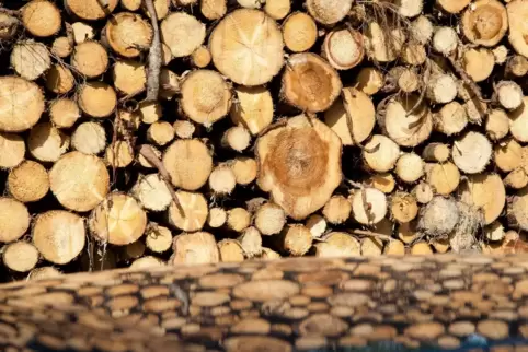 Der Rat hält an den bisherigen Preisen für Brennholz fest.