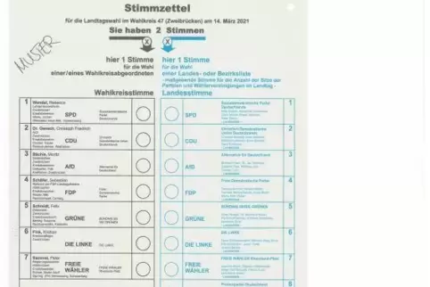 landtagswahlzettel
