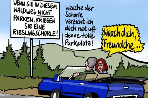 parken kopie