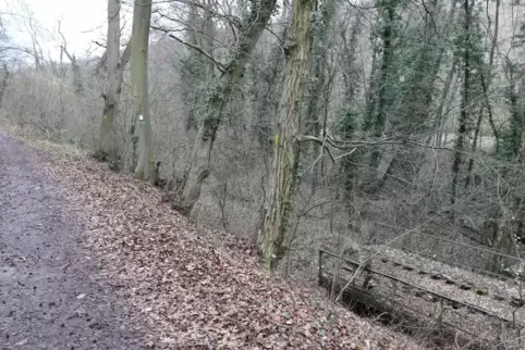 Das Foto zeigt den Eckbach-Mühlen-Weg bei Neuleiningen-Tal, auf dem der Radweg verlaufen soll. Neben dem Weg ist ein Stück der a