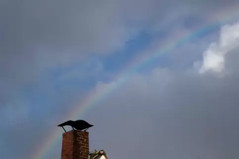 Die Höchsttemperaturen bewegen sich am Wochenanfang zwischen sieben und neun Grad.