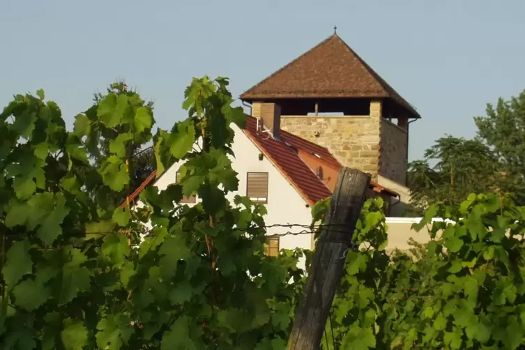 Bauzeit unbekannt: der Friedelsheimer Burgturm. Vielleicht stammt er erst vom Schloss Johann Casimirs. 