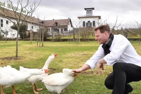 Allein unter Gänsen: Jean-Philippe Aiguier im Hofgut Ruppertsberg.